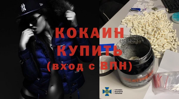 индика Армянск