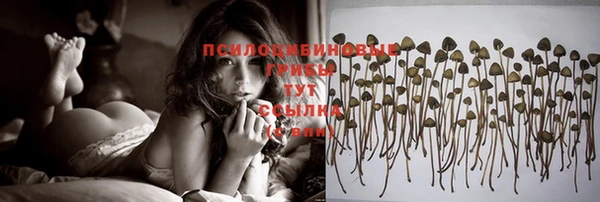 индика Армянск