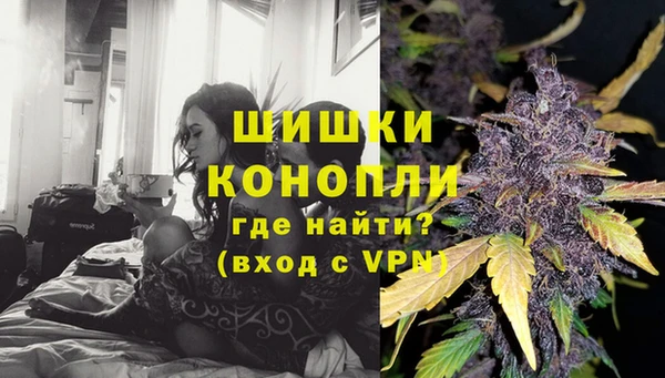 ГАЛЛЮЦИНОГЕННЫЕ ГРИБЫ Арсеньев