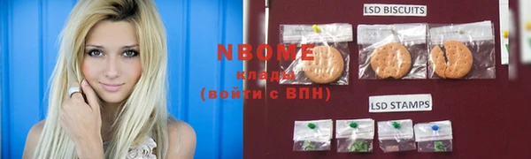 индика Армянск
