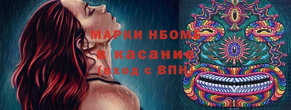 ГАЛЛЮЦИНОГЕННЫЕ ГРИБЫ Арсеньев