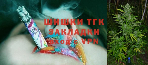индика Армянск