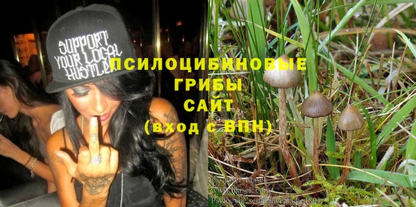 ГАЛЛЮЦИНОГЕННЫЕ ГРИБЫ Арсеньев