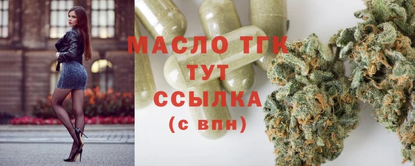 индика Армянск